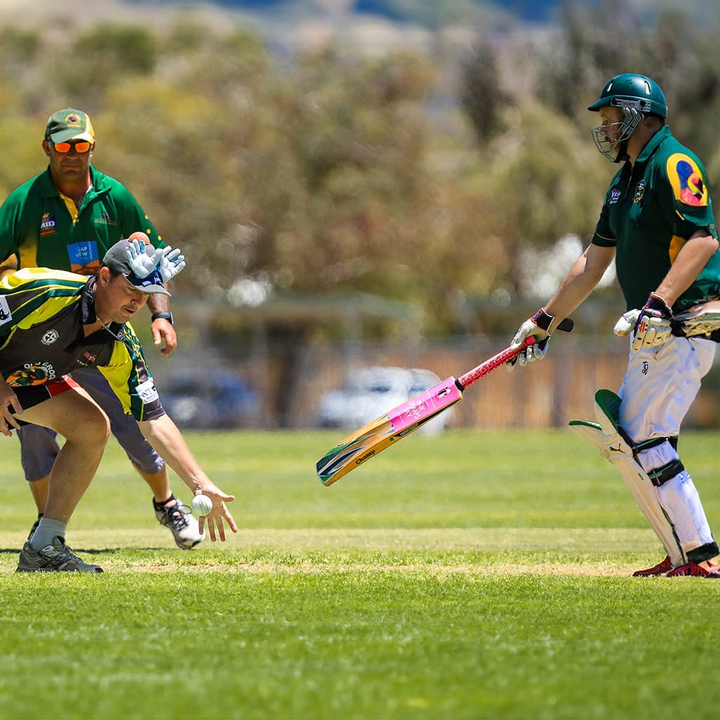 Cricket